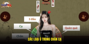 Các Loại Ù Trong Chắn Cạ