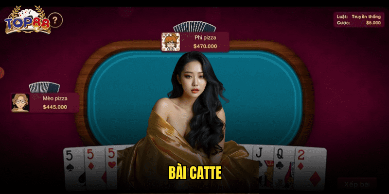 Bài Catte